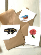 Load image into Gallery viewer, Zinnia | Card