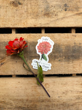 Load image into Gallery viewer, Zinnia | Sticker | Romans 12:12