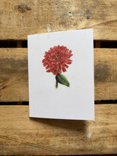 Load image into Gallery viewer, Zinnia | Card