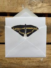 Load image into Gallery viewer, Butterfly | Card