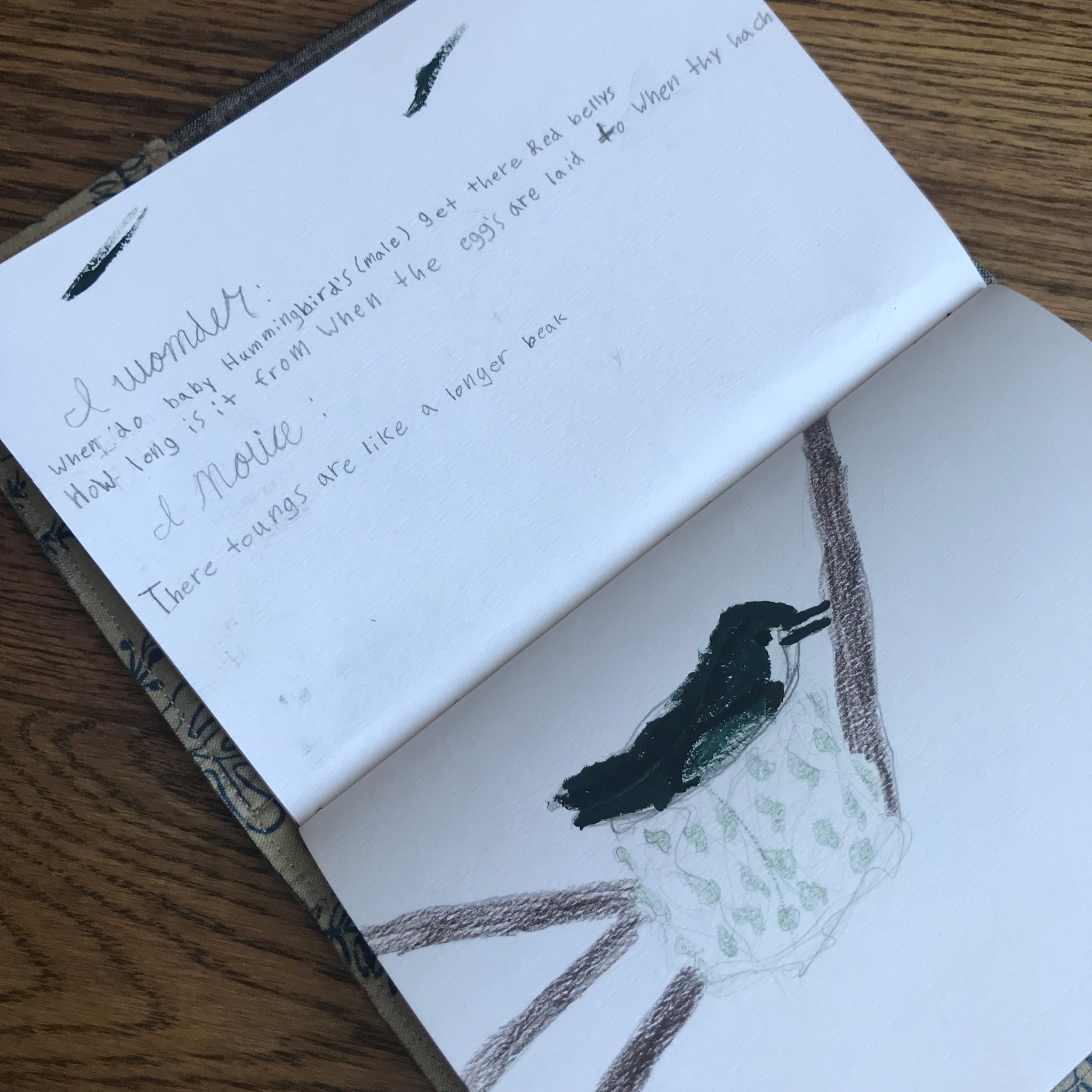 Nature Notebook Journal Insert – Juniper Grove