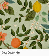 Load image into Gallery viewer, The Mini Journal - Citrus Grove in Mint