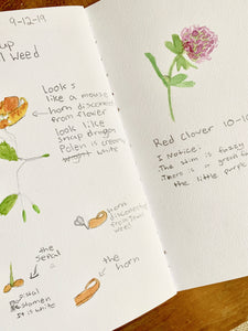 Nature Notebook Journal Insert