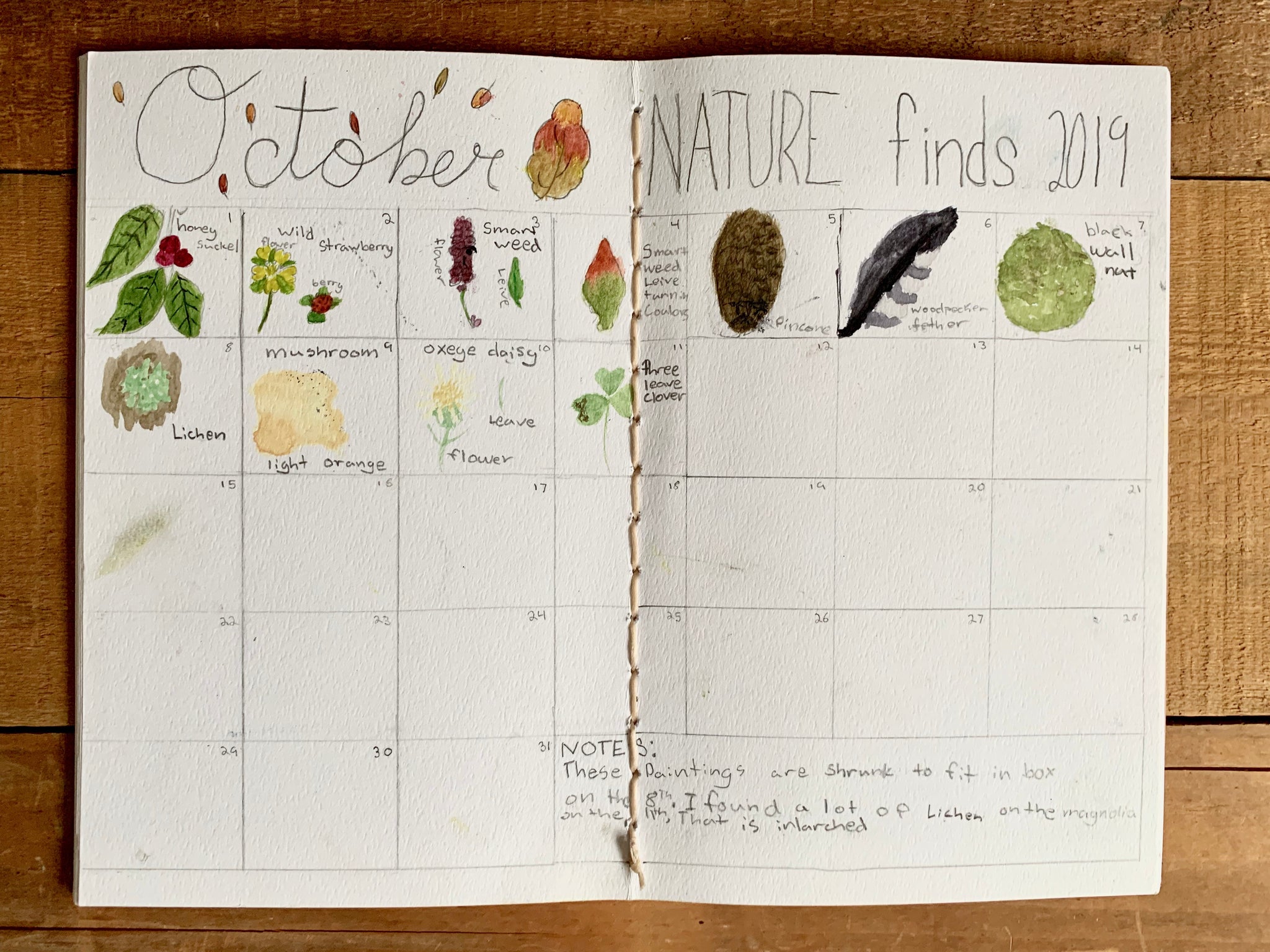 Nature Notebook Journal Insert – Juniper Grove